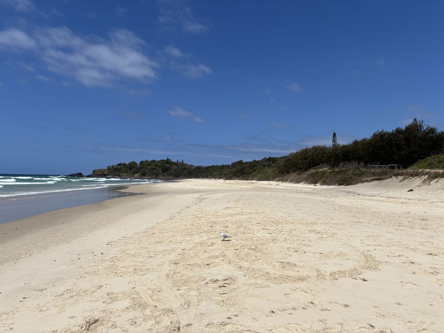 Fingal Beach looking south 15 October 2025