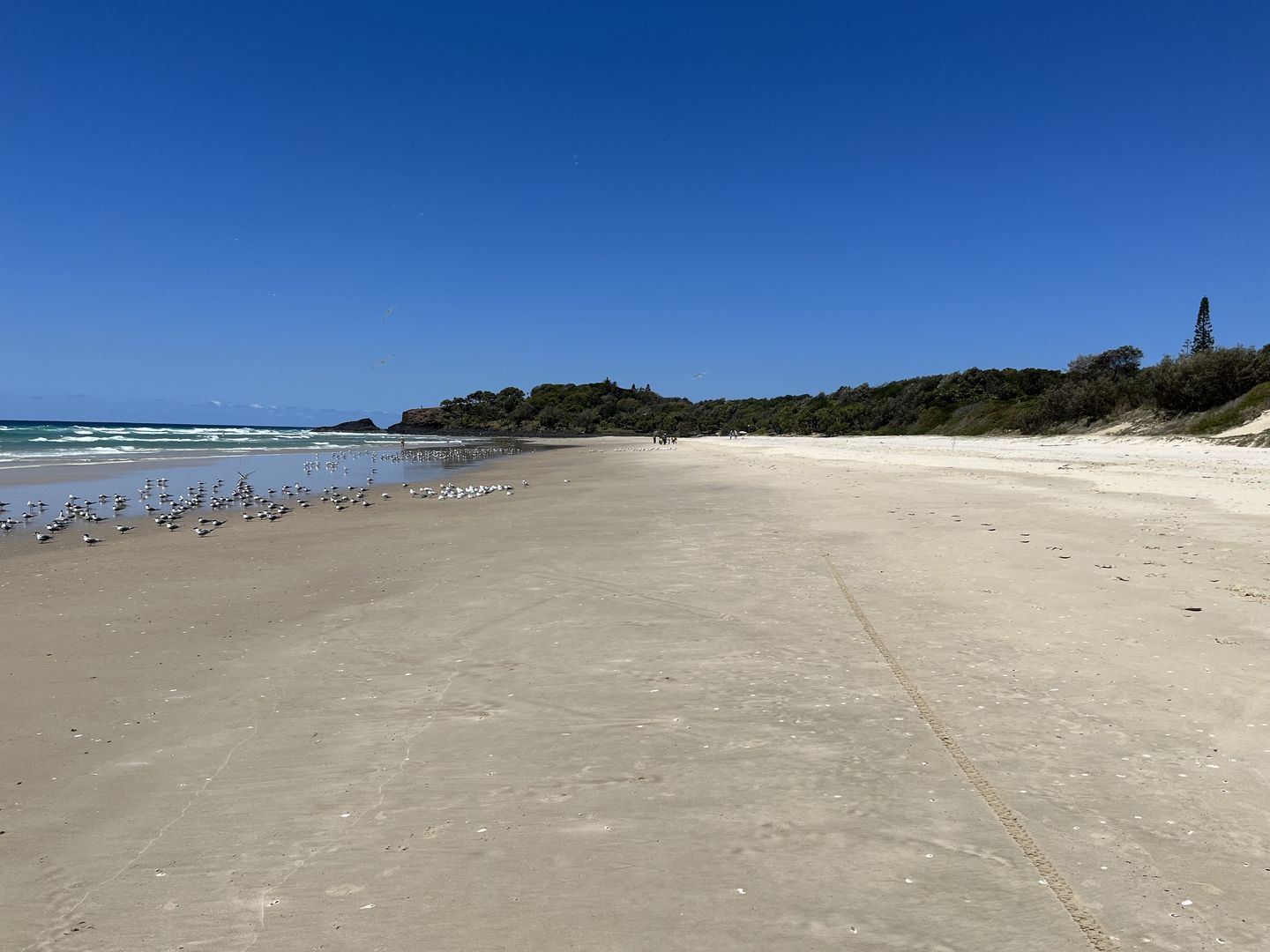 Fingal Beach looking south 12 October 2023