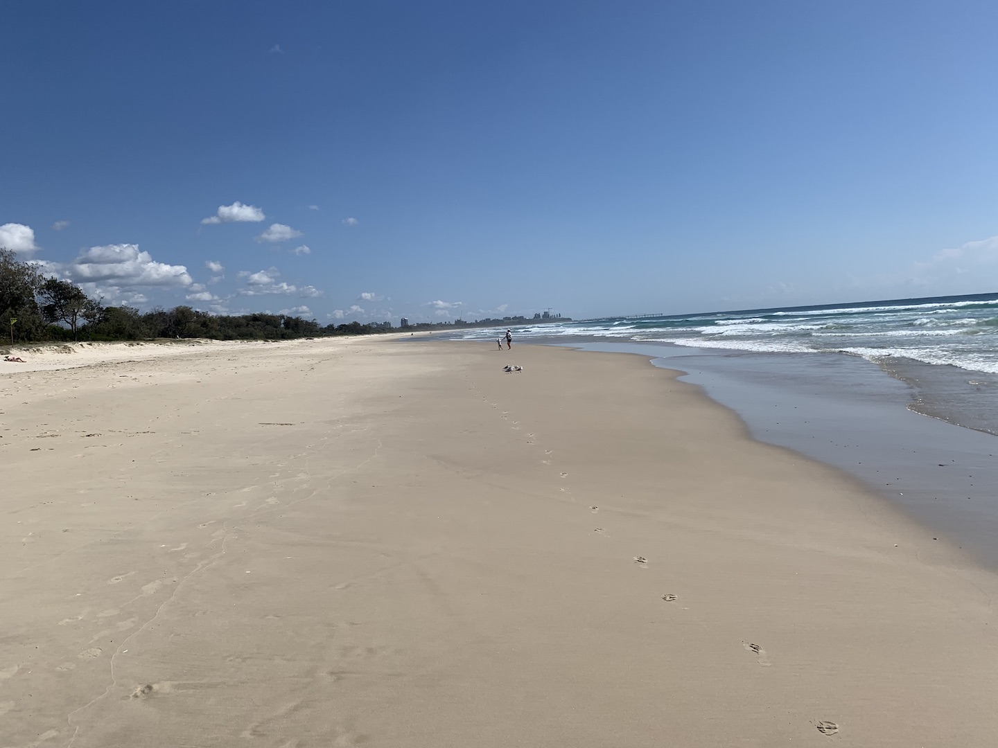 Fingal looking north 13 September 2023